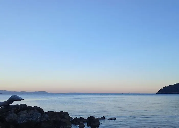 Apartman Il - Elba Affitti